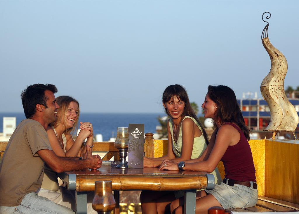 Camel Dive Club & Hotel - Boutique Hotel Σαρμ Ελ Σέιχ Εξωτερικό φωτογραφία