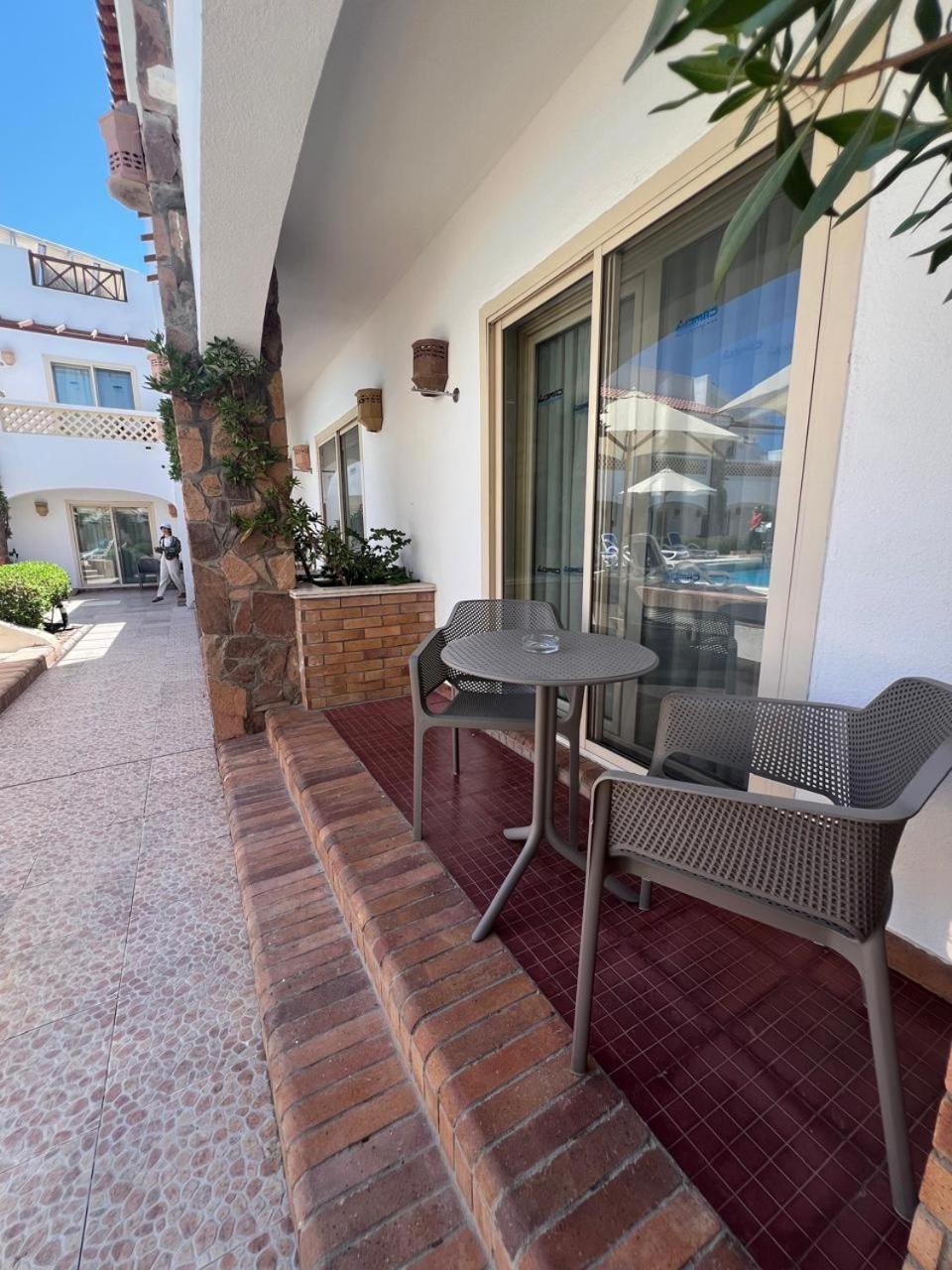Camel Dive Club & Hotel - Boutique Hotel Σαρμ Ελ Σέιχ Εξωτερικό φωτογραφία