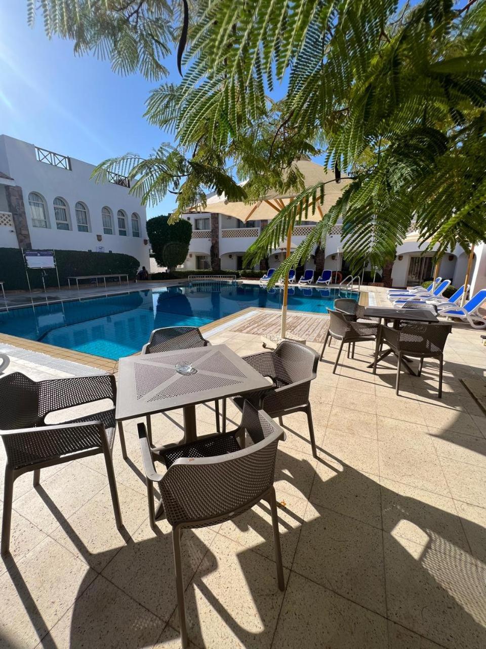 Camel Dive Club & Hotel - Boutique Hotel Σαρμ Ελ Σέιχ Εξωτερικό φωτογραφία