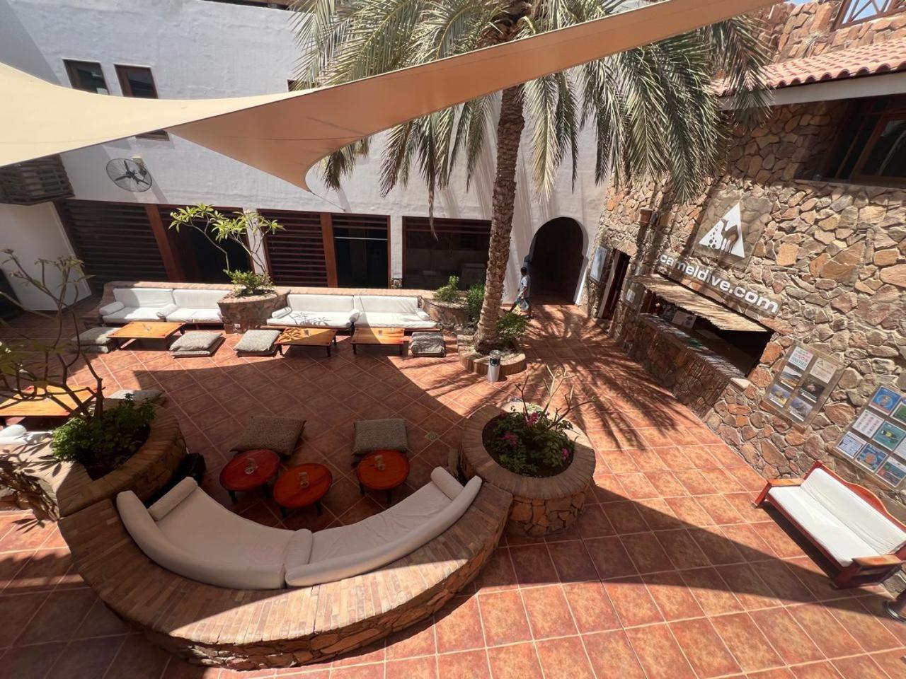 Camel Dive Club & Hotel - Boutique Hotel Σαρμ Ελ Σέιχ Εξωτερικό φωτογραφία