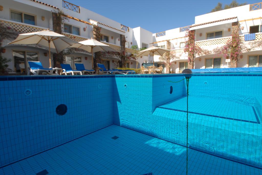 Camel Dive Club & Hotel - Boutique Hotel Σαρμ Ελ Σέιχ Εξωτερικό φωτογραφία