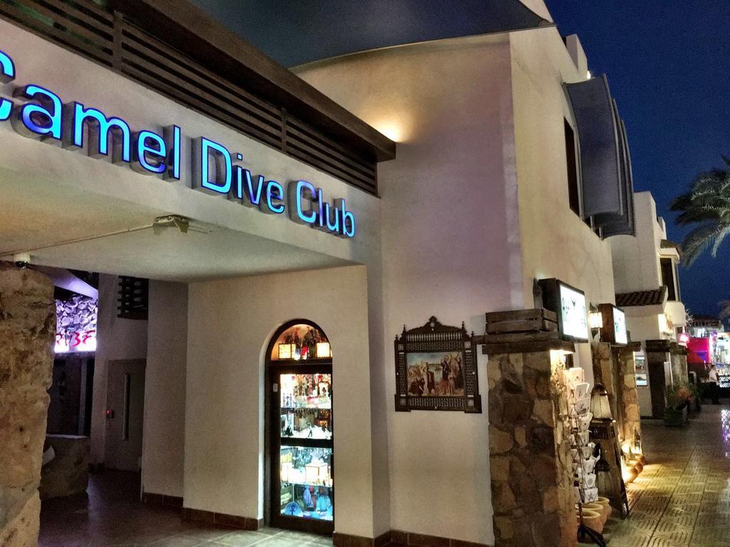 Camel Dive Club & Hotel - Boutique Hotel Σαρμ Ελ Σέιχ Εξωτερικό φωτογραφία